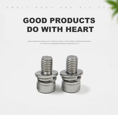 Сборка из нержавеющей стали 304 316 DIN912 Hex Socket Head Screw с плоской стиральной машиной и сборкой пружинной стиральной машины