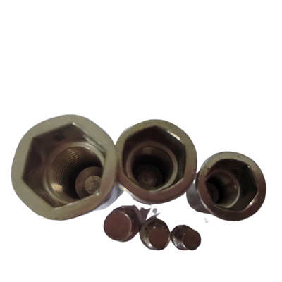 Японский рынок DIN Standard Flat Head Semi-Hex Closed End Threaded Rivet Nut для бытовой техники