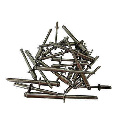 Стандарт DIN 4.8mm Открытый конец слепые ниты из нержавеющей стали Круглая голова высокая прочность