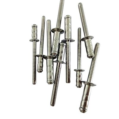 Плоская голова Круглая голова Двойной барабан слепые ниты Нержавеющая сталь 304 Простая отделка Метрический диаметр 3,2 мм / 4 мм / 4,8 мм