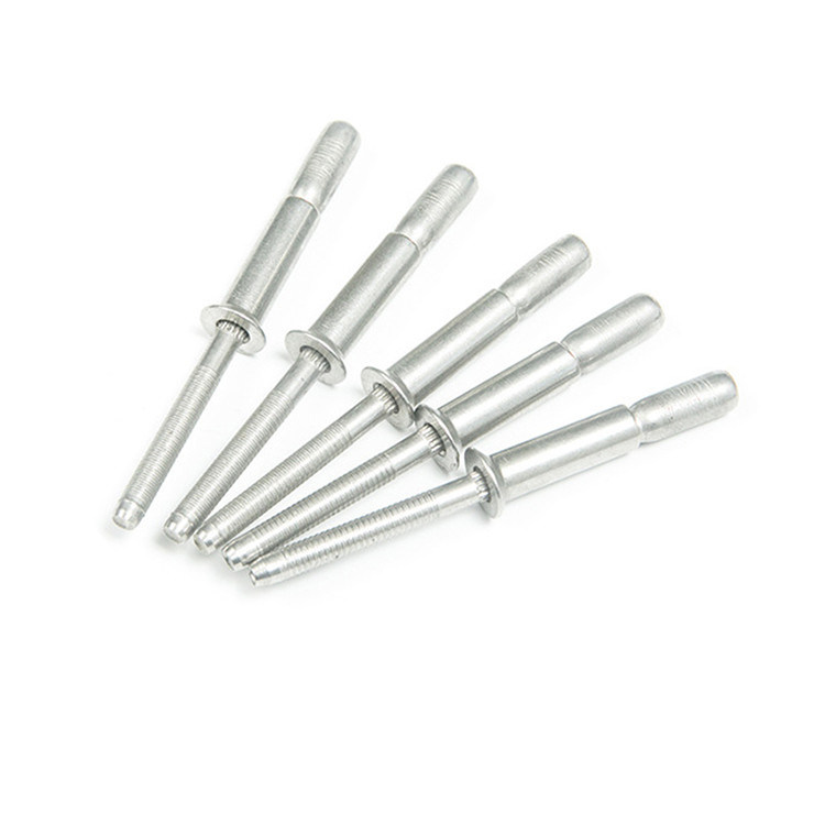 Открытый тип нержавеющей стали с крышкой с купольной головой и чернокрашенным стволом